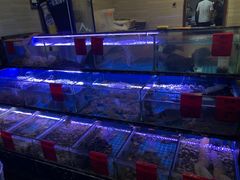 水产区-金海湾海鲜排档(朱家尖店)