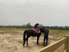 -汉长安城未央宫国家考古遗址公园