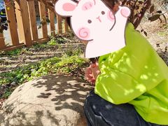 -蒙蒙狮蒙台梭利儿童之家