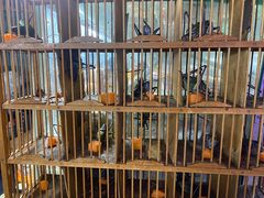 -花鸟鱼虫鲜花绿植市场(玉泉路店)