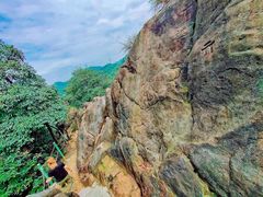 -南山植物园