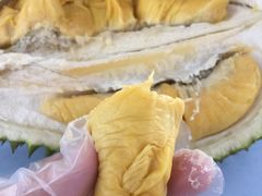 -SS2 榴梿鲜生