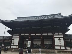 -奈良公园