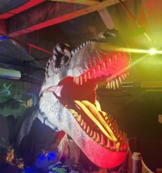 -恐龙探索乐园(磁器口店)