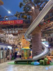 -卡通尼·Safari非洲探索乐园·生日会(金桥国际商业广场店)