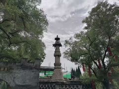 -大槐树寻根祭祖园