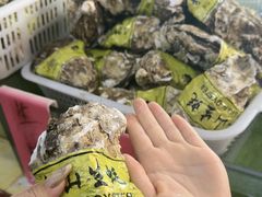 -南庄酒家·海鲜粤菜·25年老字号(环城南路店)