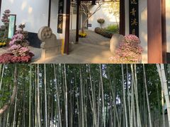 -上海醉白池公园