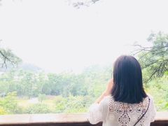 -深圳仙湖植物园-停车场