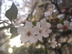 -西安石油大学(雁塔校区)