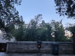 -八大处公园