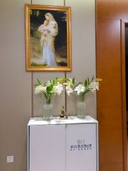 -蓝山医疗美容医院