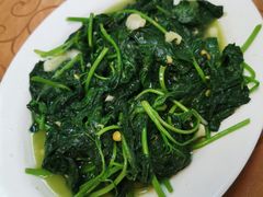 炒番薯叶-陈记稻香潮汕砂锅粥(华强南店)