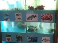 海鲜池-河州宾馆清真餐厅(文锦南路店)