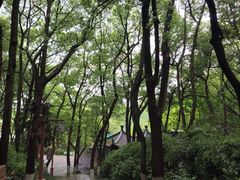 -天目湖山水园