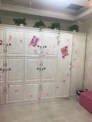 -香薇妮丝女子减肥院