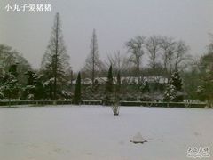 -山东大学(洪家楼校区)