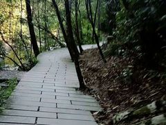 -九龙江国家森林公园