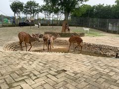 -武汉紫薇都市田园