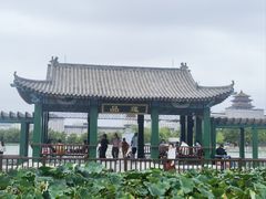 -莲花池公园
