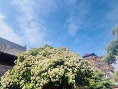 -洛阳周公庙博物馆