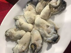 生蚝-花苑美食横琴生蚝火锅(拱北粤华路店)