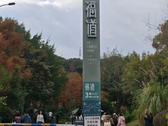 -福道