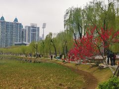 -西北湖绿化广场