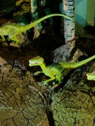 -恐龙探索乐园(磁器口店)