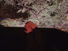 -LAMP BAR 水烟音乐酒吧