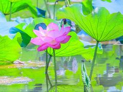 -雪山彩虹谷景区