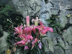 -黔灵山公园