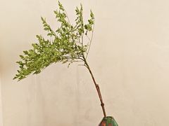 -恒悦尚品(上海展览中心店)