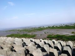 -奉贤海滩