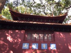 -普陀山风景名胜区-法雨禅寺