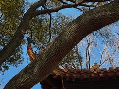 -狼山风景名胜区