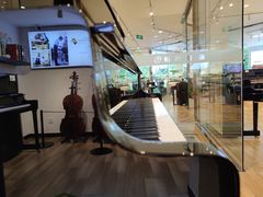 -柏斯琴行(汾阳店)