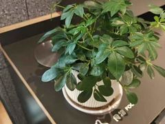 -肯德基(中央公园店)