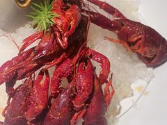 -杨氏青龙虾·羊蝎子(金盛路总店)
