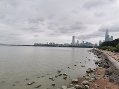-深圳湾公园(南山区)