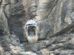 -青岩寺风景区