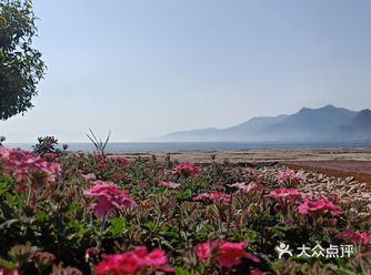 少了些商业化运作，还是很多人喜欢来这里的