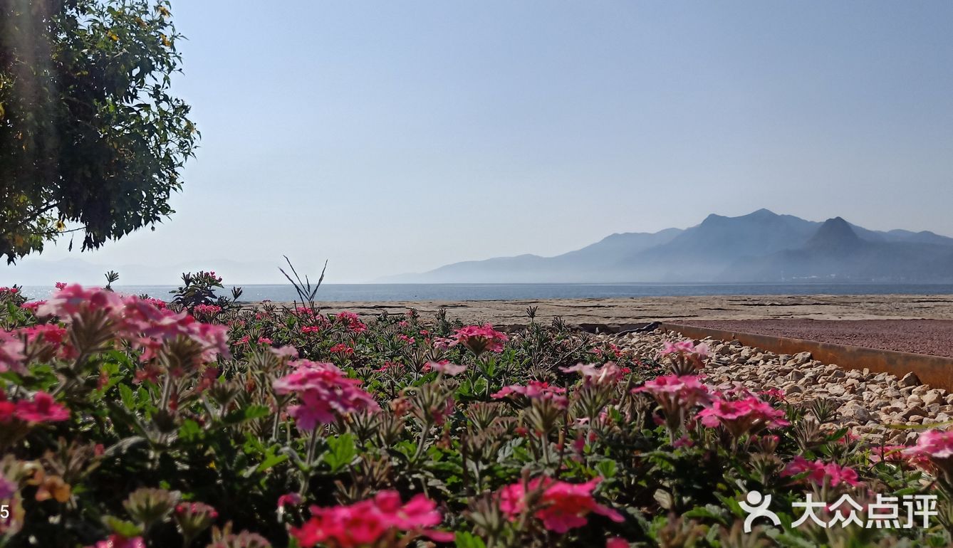 少了些商业化运作，还是很多人喜欢来这里的