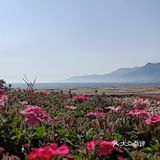 少了些商业化运作，还是很多人喜欢来这里的