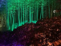 -印象西湖·最忆是杭州实景演出
