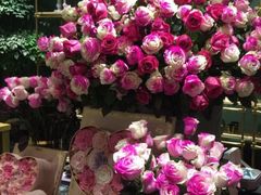 -BEAST野兽派(上海浦东嘉里城店)