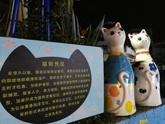 -猫咪博物馆(顶澳仔猫街店)