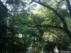 -陕西师范大学(雁塔校区)