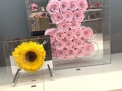 -ROSEONLY诺誓(广州K11店)