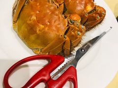 清蒸大闸蟹-王宝和酒家(黄浦店)